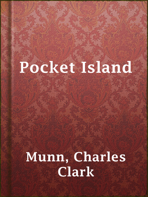 Cover image for Pocket Island